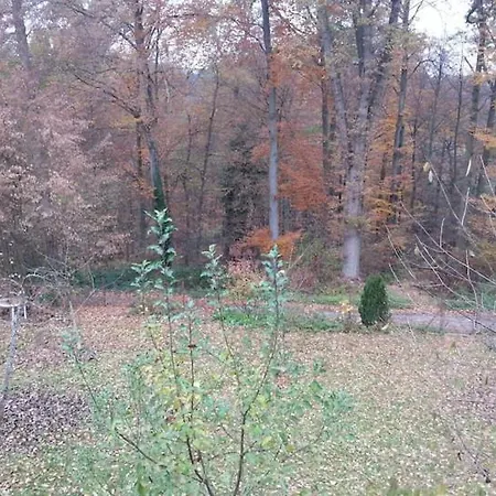 Ferienwohnung Idylle Am Waldrand * Neuhausen (Baden-Wurttemberg)