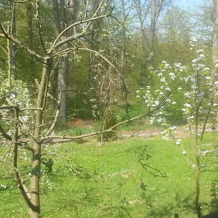 Ferienwohnung Idylle Am Waldrand Neuhausen (Baden-Wurttemberg)